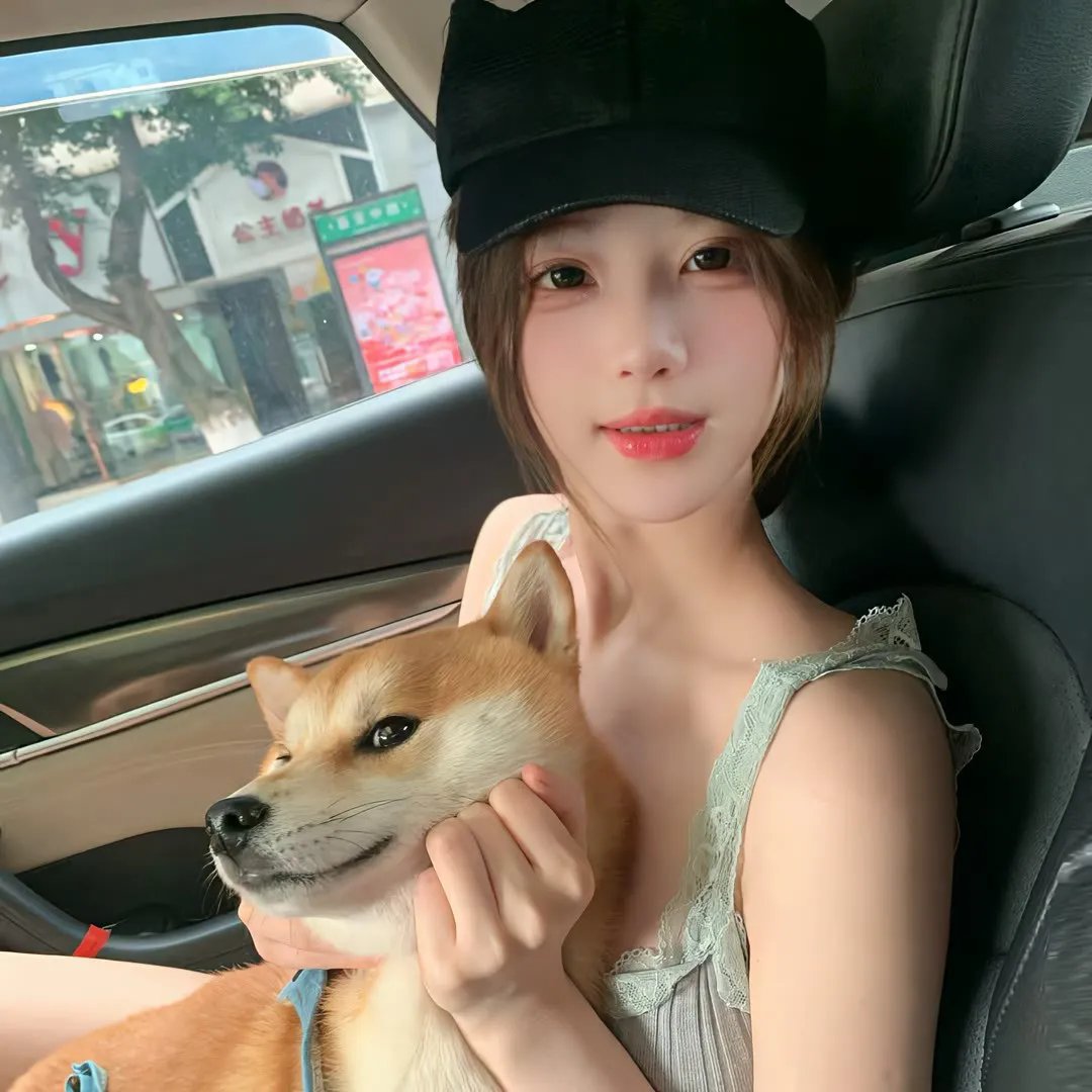 我家的律师很麻烦
